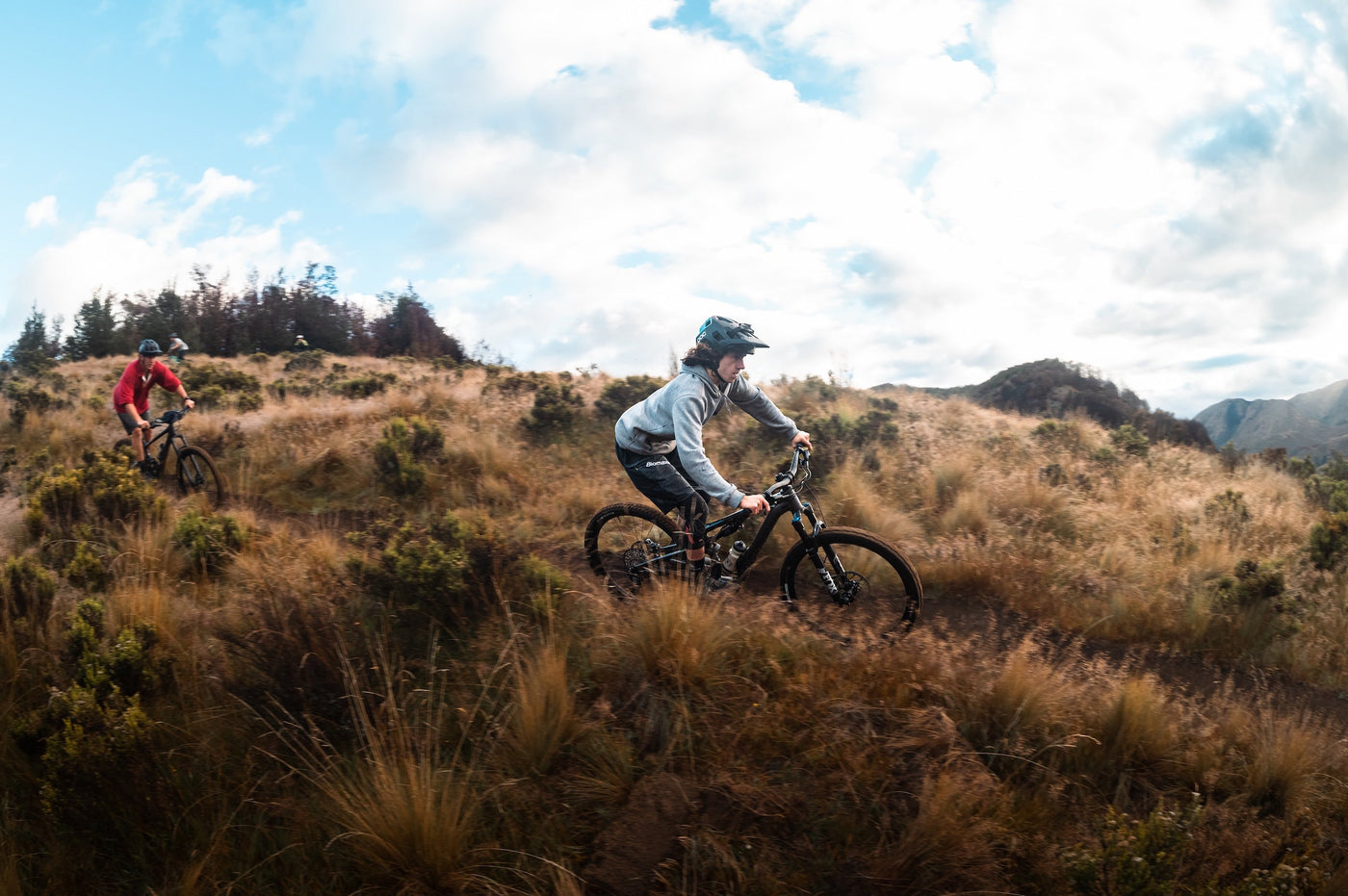 Stumpjumper 15
