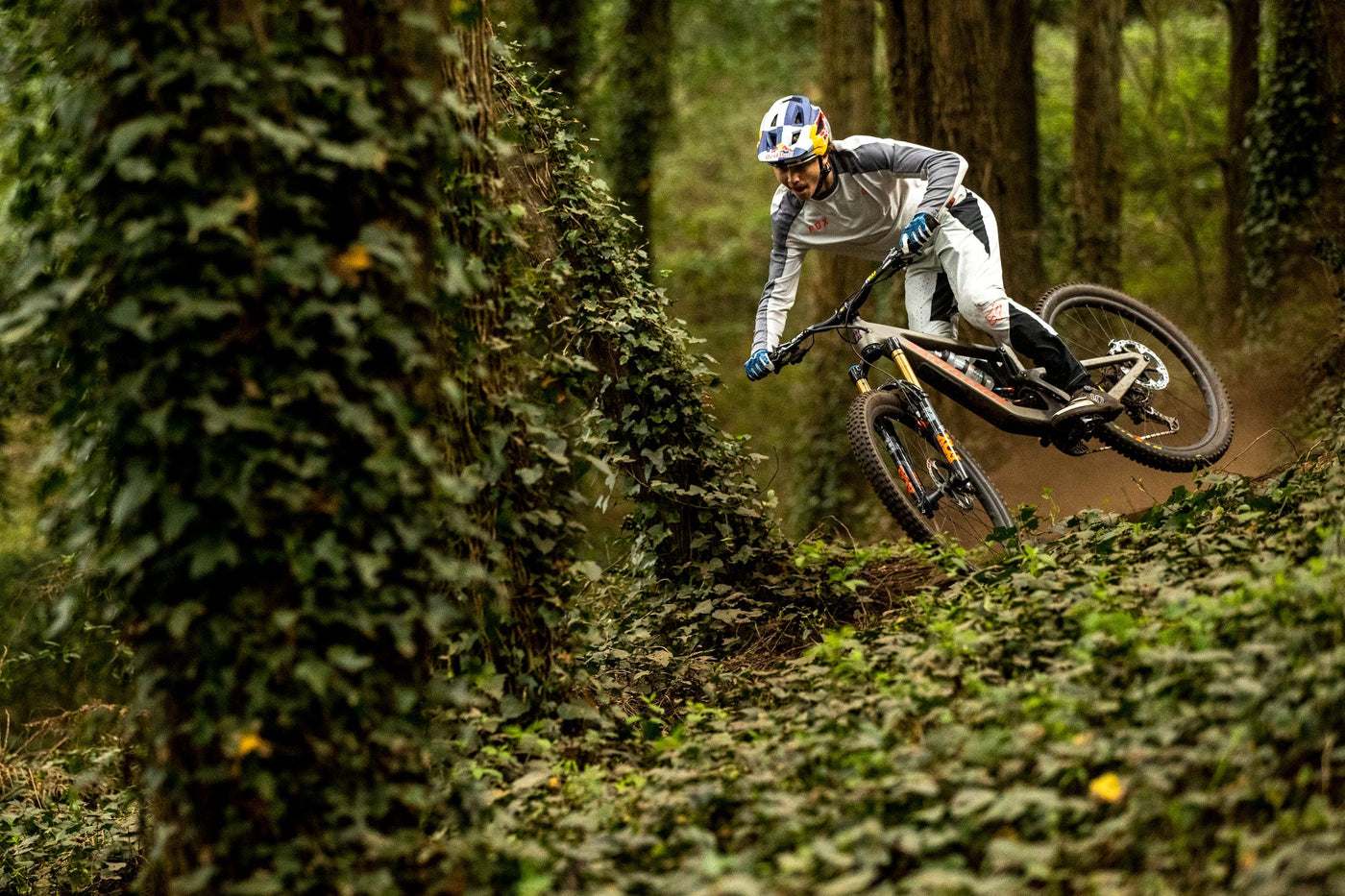 Santa Cruz Bikes