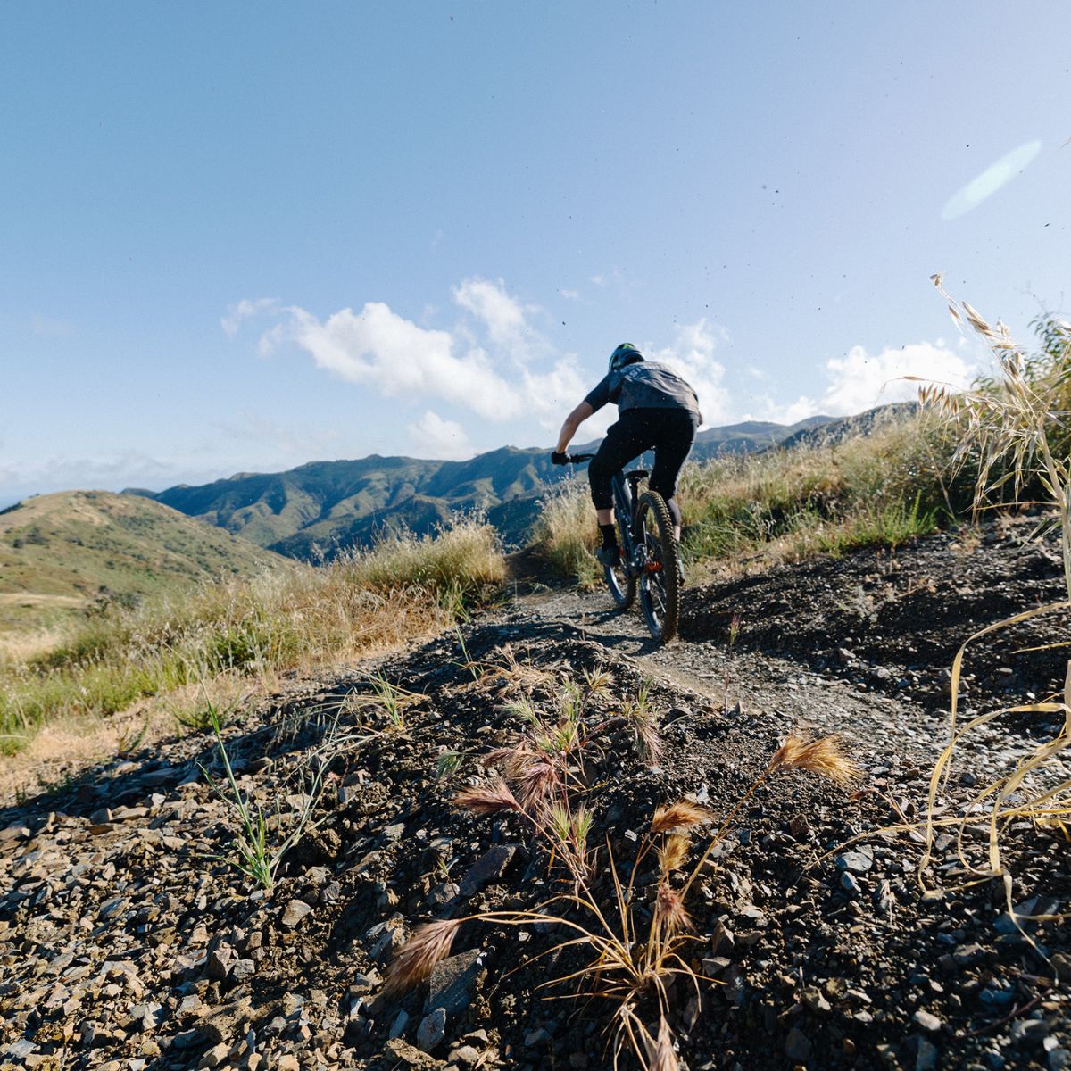 WOLF TOOTH CTRL PERFORMANCE TRAIL CLIPLESS PEDALS