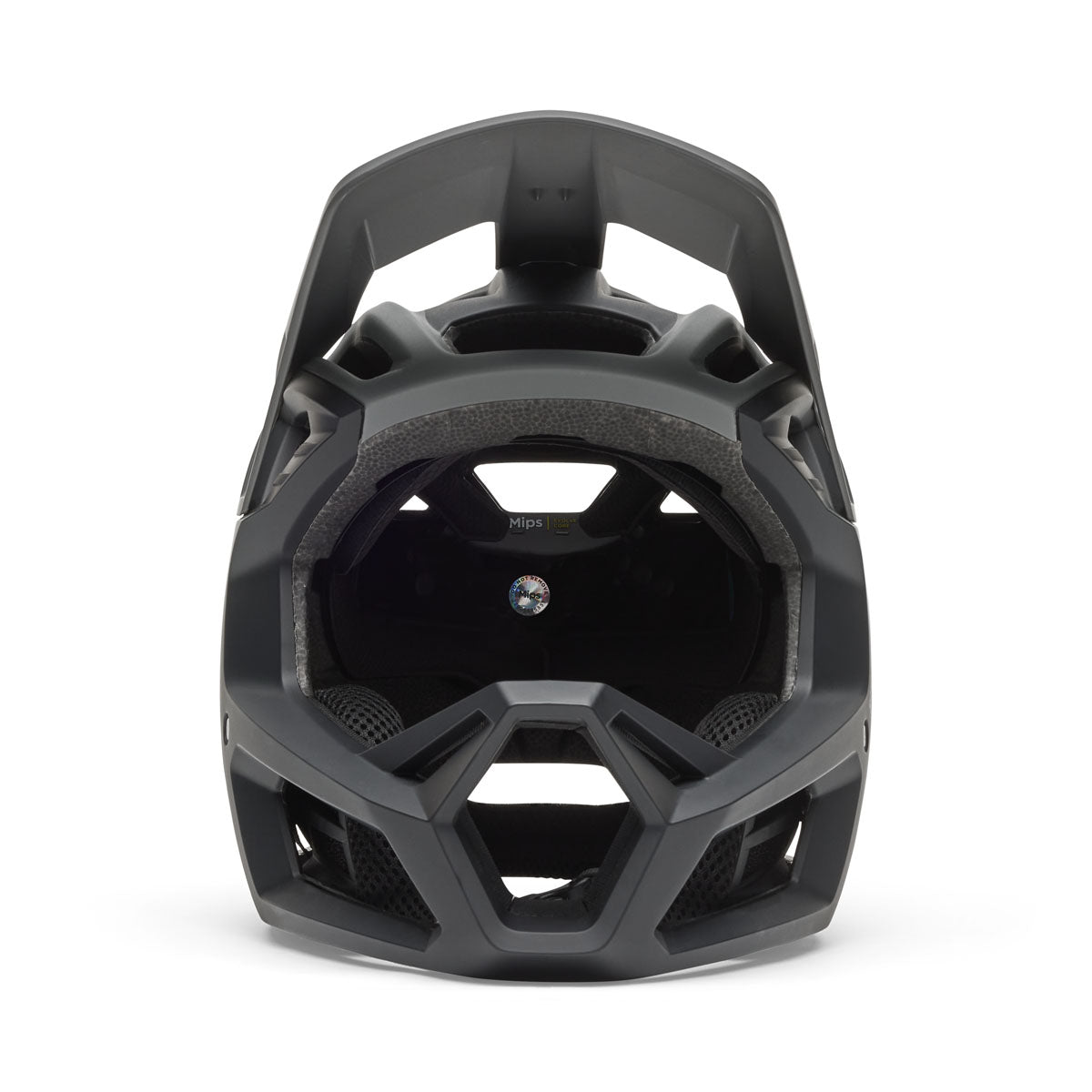 Fox Proframe Rizer Helmet