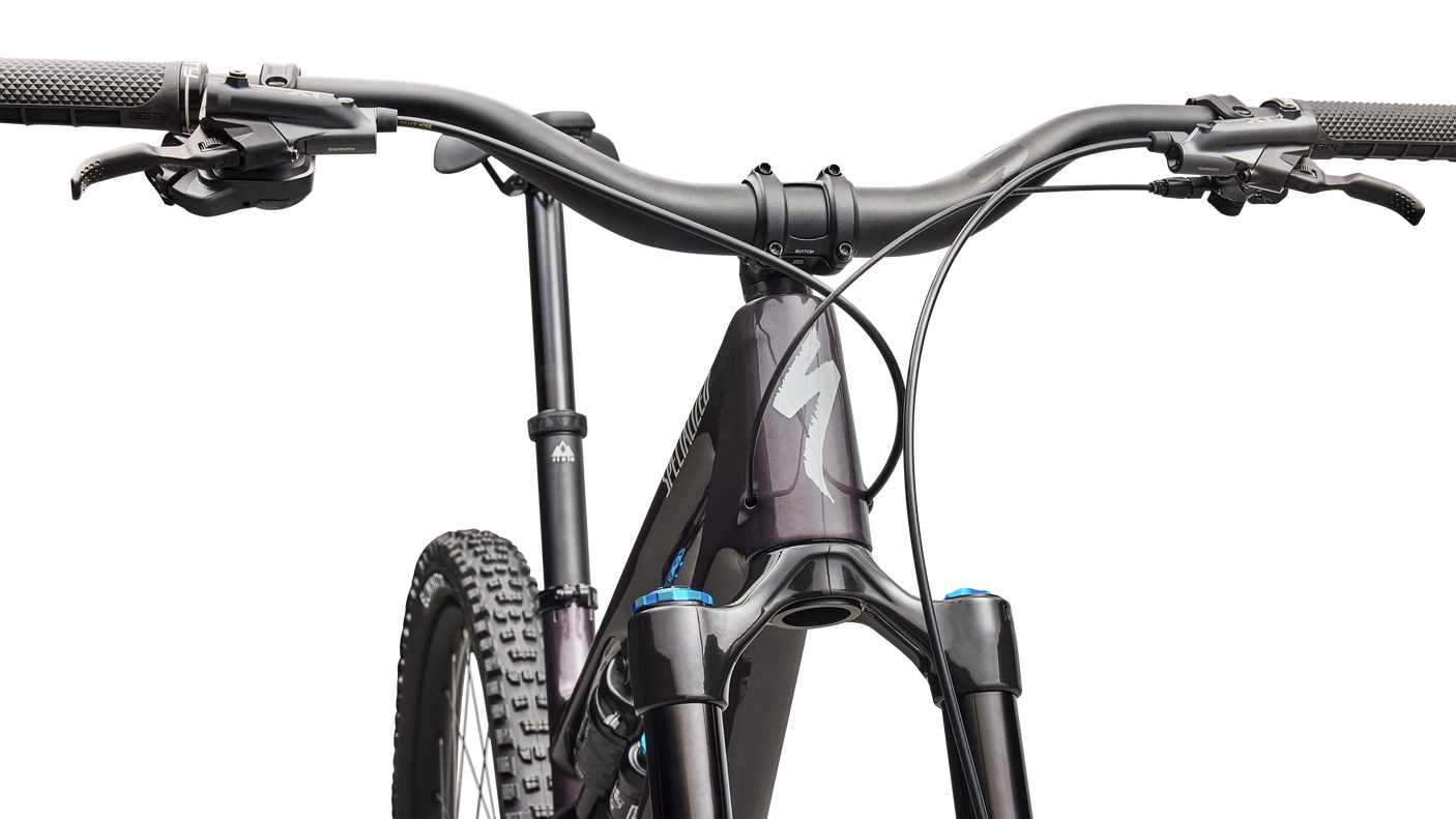 Stumpjumper 15 EVO Expert Di2