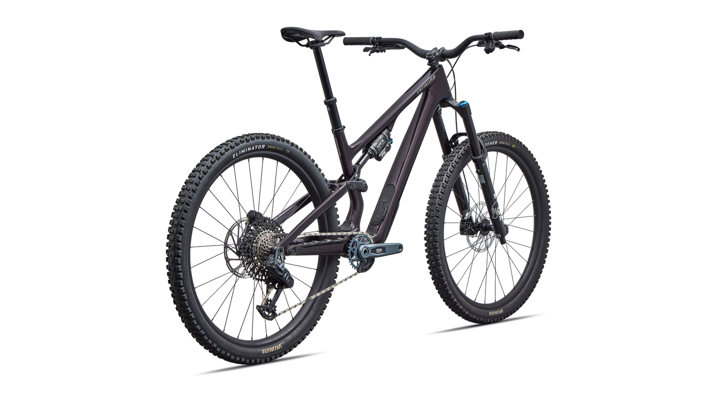 Stumpjumper 15 EVO Expert AXS