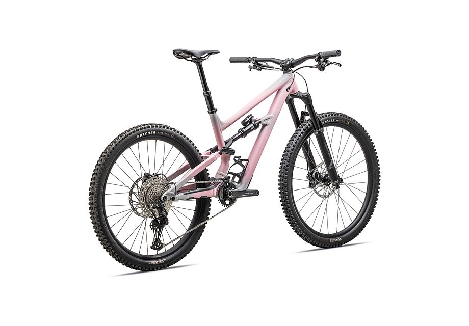 Specialized Status 2 140