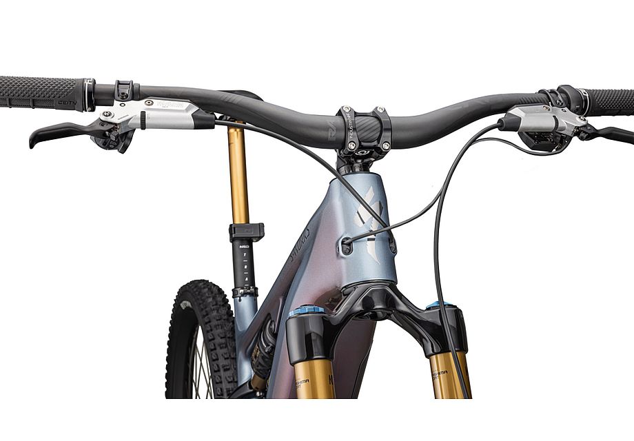 S-Works Turbo Levo 4