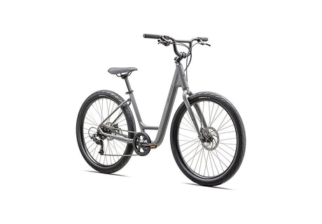 Specialized Roll 2.0 Low Entry