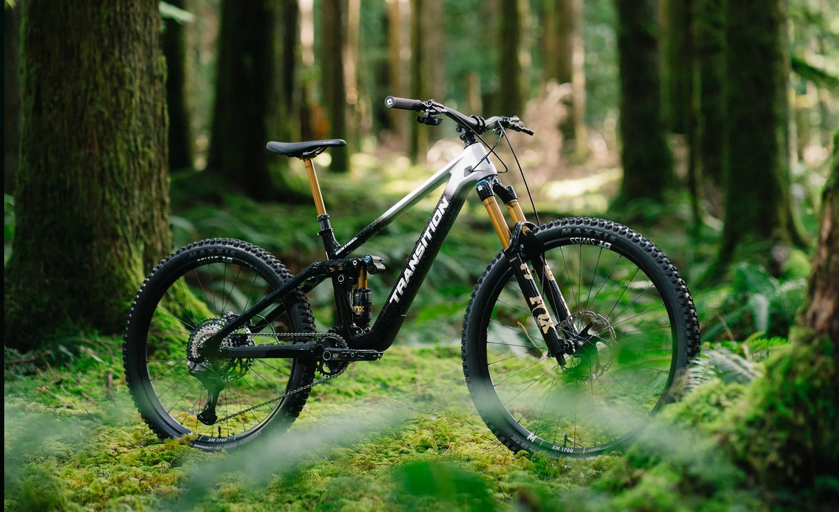 Transition Sentinel Carbon Frameset