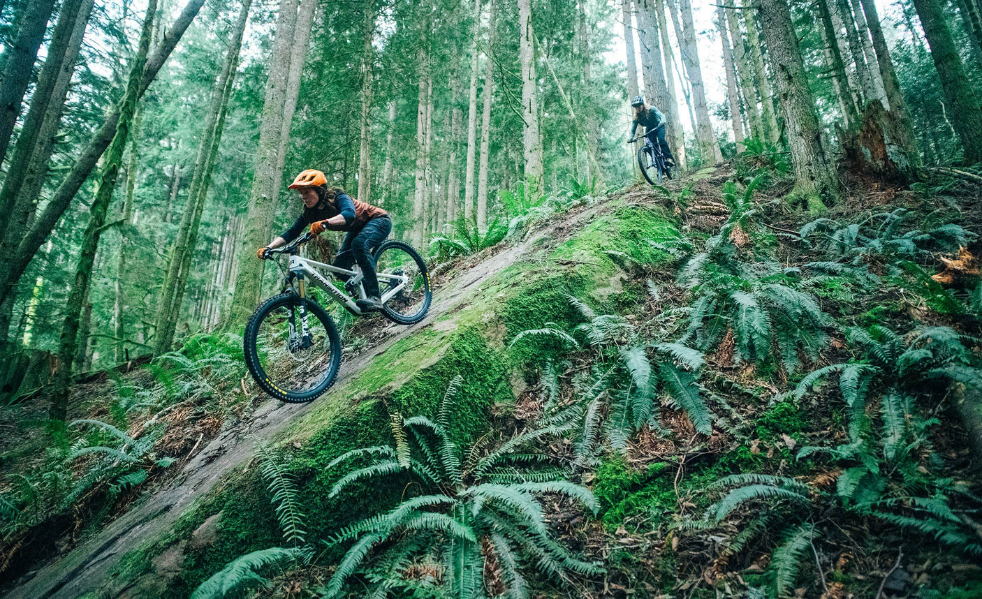 Transition Sentinel Carbon Eagle 90