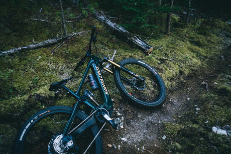 Santa Cruz Vala - Precision and Power
