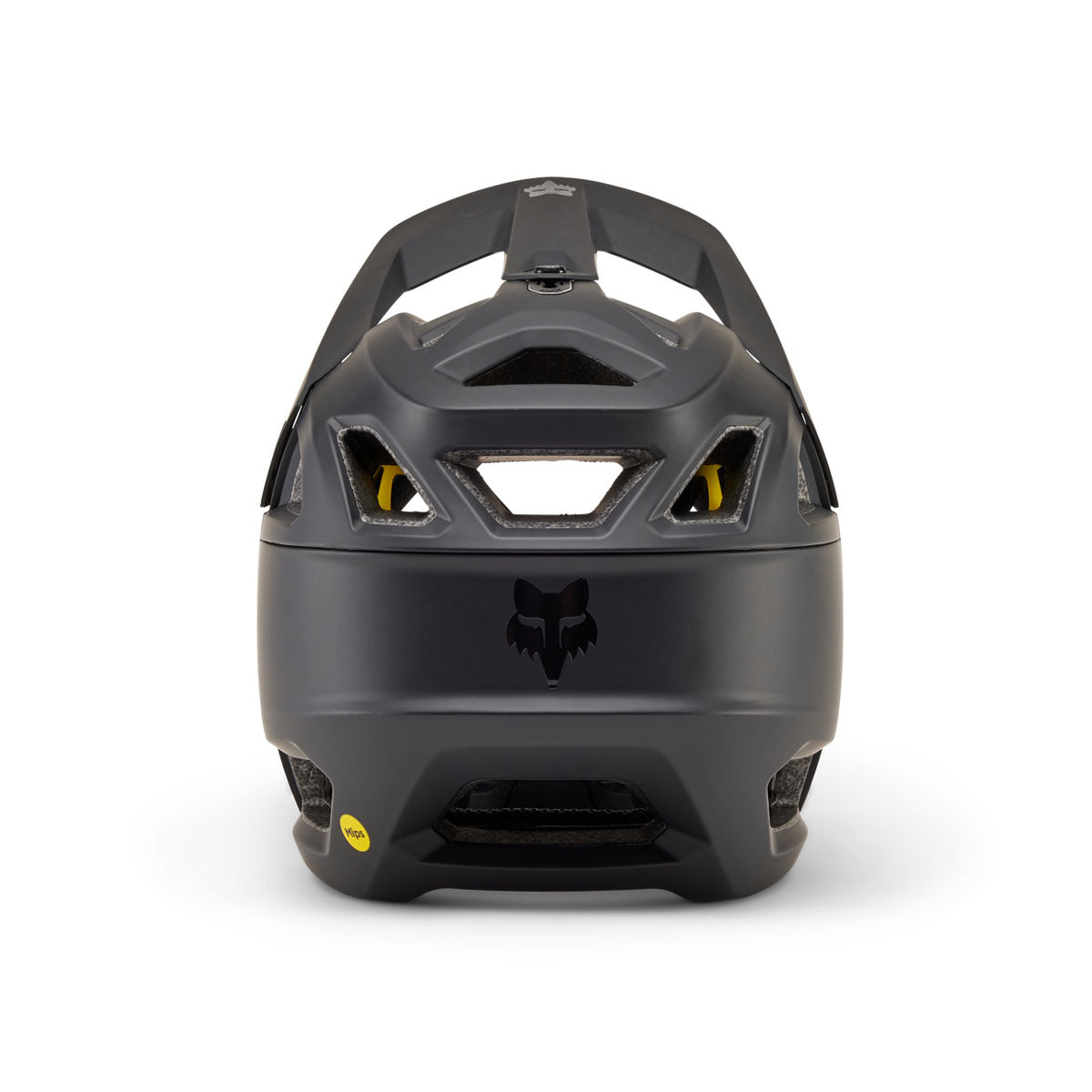 Proframe Helmet, CE