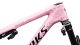 S-Works Epic 9 Frameset