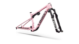 S-Works Epic 9 Frameset