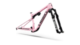 S-Works Epic 9 Frameset