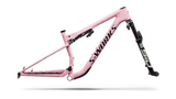 S-Works Epic 9 Frameset