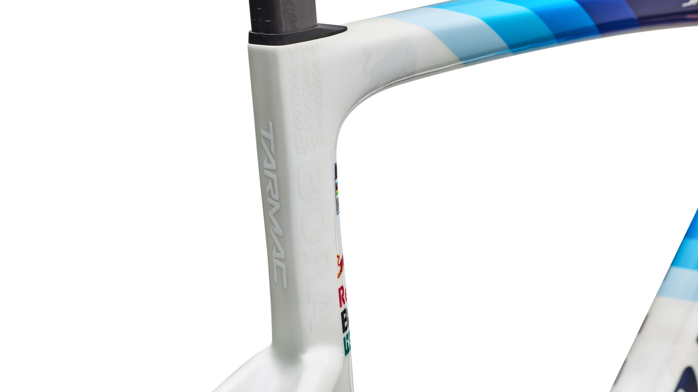 S-Works Tarmac SL9 Team Replica Frameset