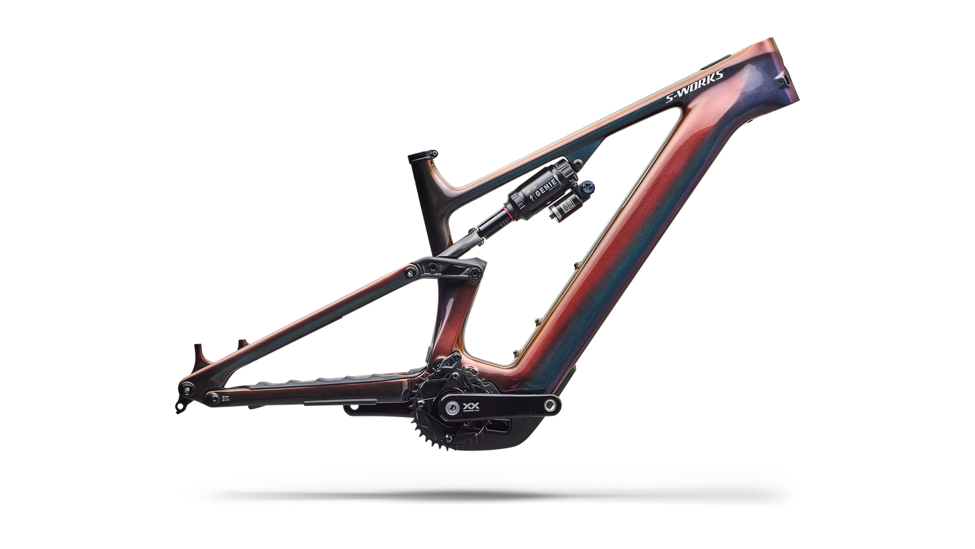 S-Works Turbo Levo 4 Frameset