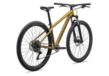 Specialized Rockhopper Comp 29