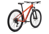 Specialized Rockhopper Comp 29