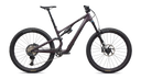 Stumpjumper 15 EVO Expert Di2