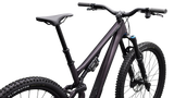 Stumpjumper 15 EVO Expert AXS
