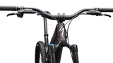 Stumpjumper 15 EVO Expert AXS