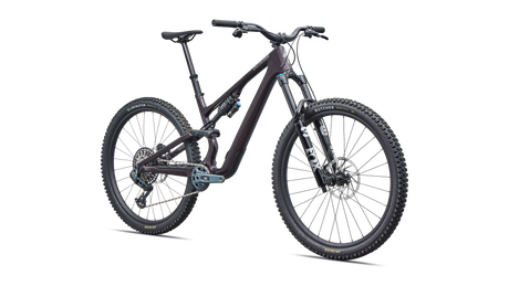 Stumpjumper 15 EVO Expert AXS