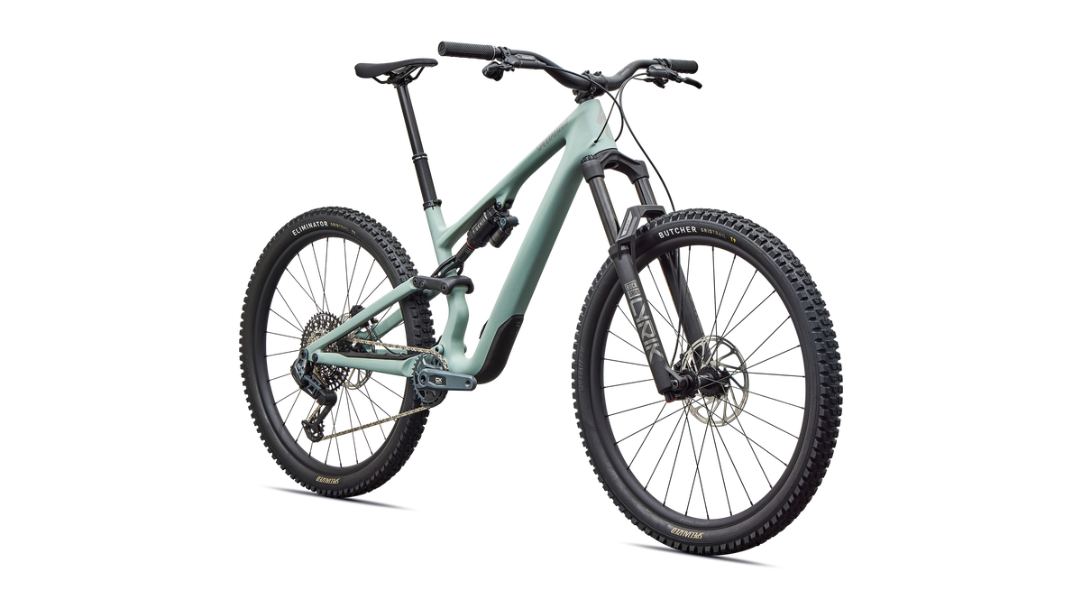 Stumpjumper 15 EVO Expert