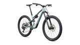 Stumpjumper 15 EVO Expert