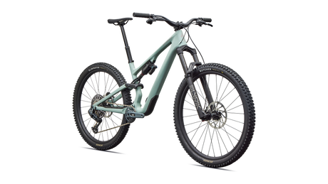 Stumpjumper 15 EVO Expert