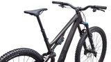 Stumpjumper 15 EVO Comp
