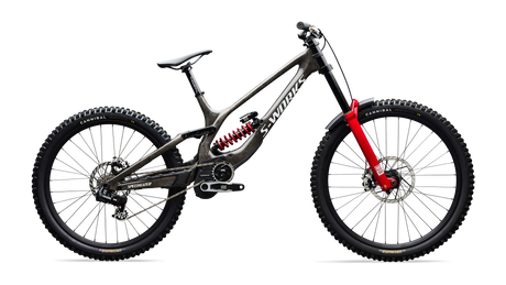 Specialized S-Works Demo 11
