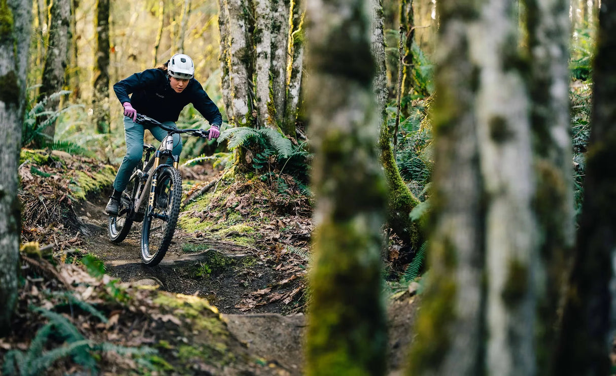 Transition Regulator CX XT Di2