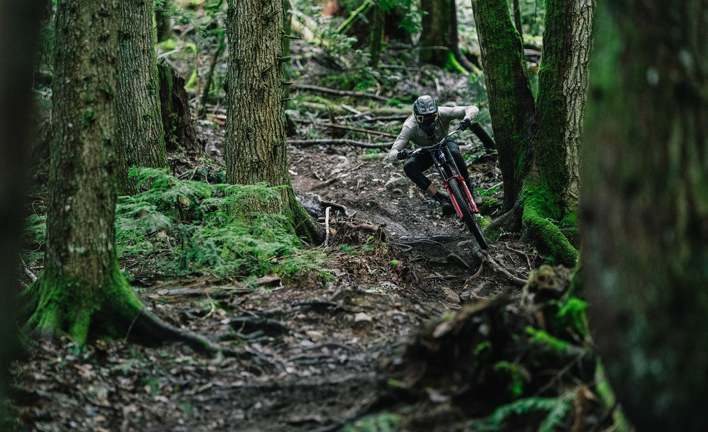Transition TR11 Frameset