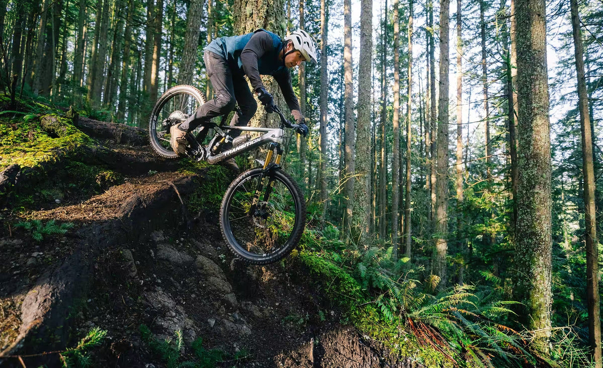 Transition Sentinel Carbon XT Di2