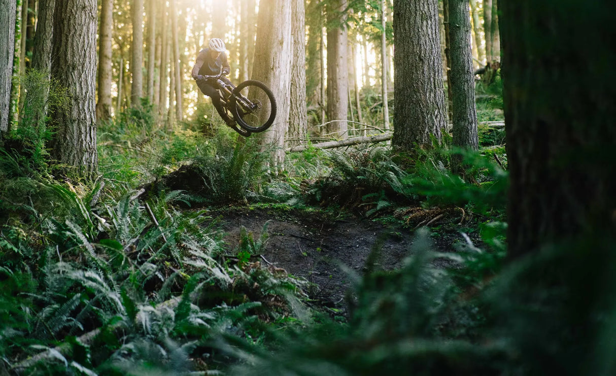 Transition Sentinel Carbon XT Di2