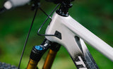 Transition Sentinel Carbon Frameset