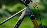 Transition Sentinel Carbon Frameset