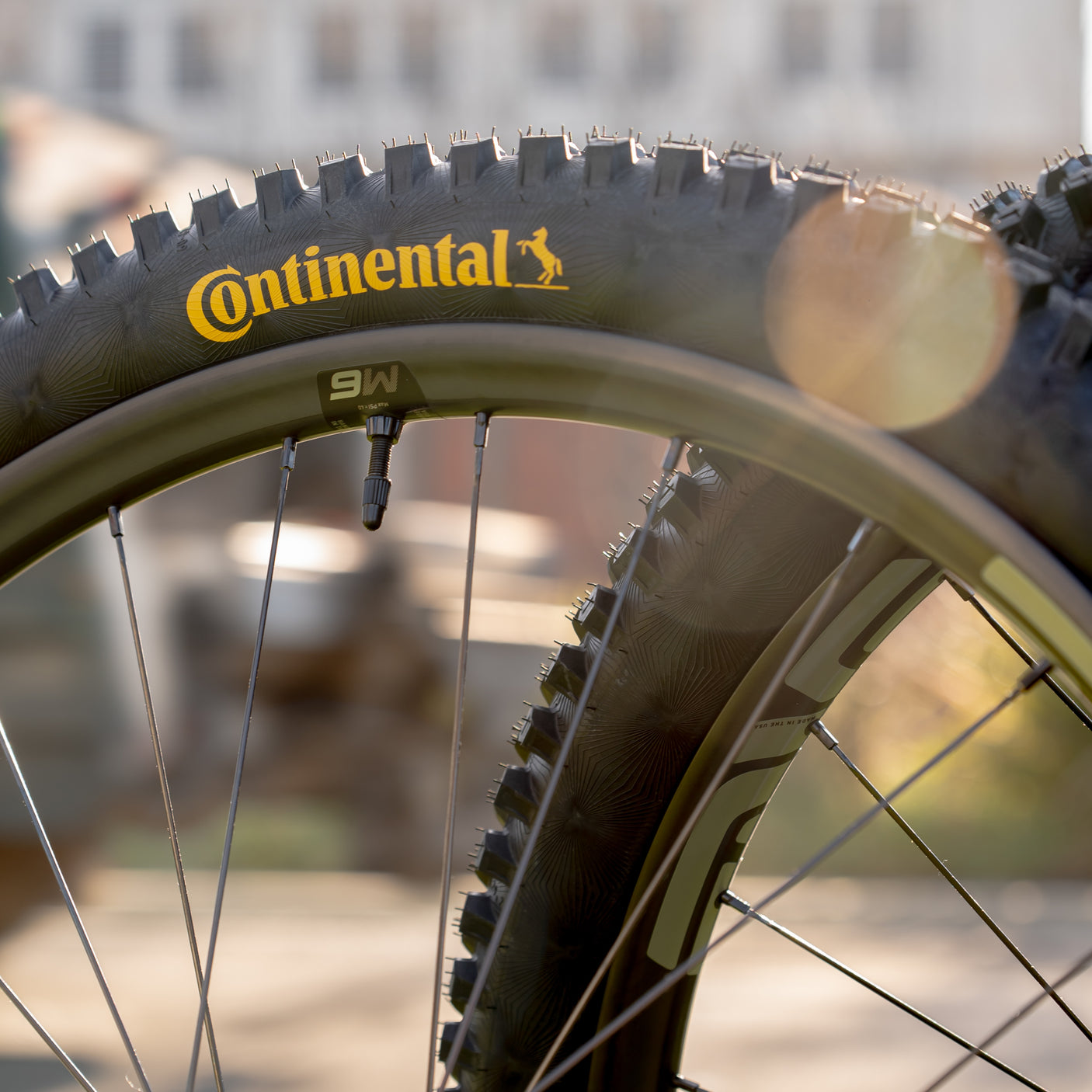 Enve M6 Trail 29" Demo Wheels