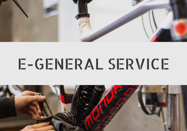 E-General Service