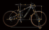 Velduro Rogue R