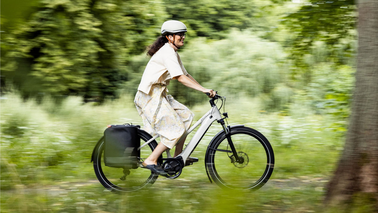 Specialized Tailwind Pannier