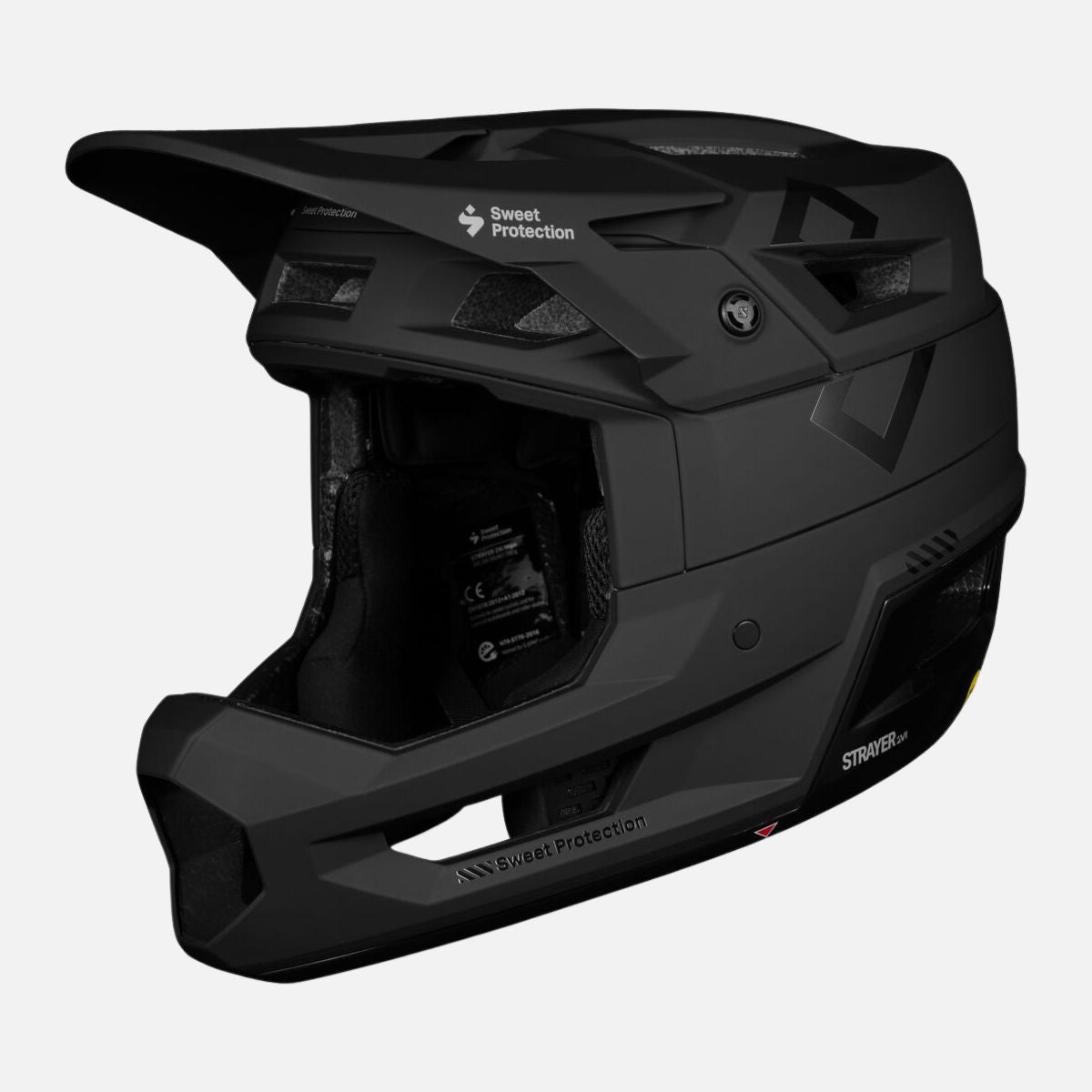 STRAYER 2VI MIPS HELMET