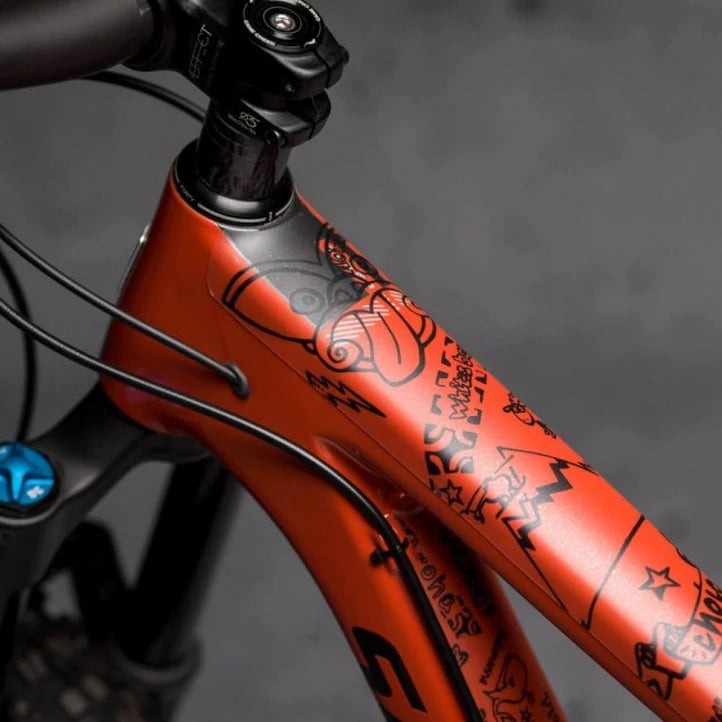 DYEDbro Frame Protection NZ Enduro 2018 Cycleways NZ