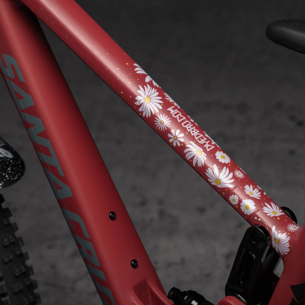 Specialized enduro frame online protection