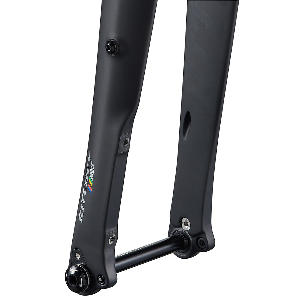 Carbon fork sales with rack mounts