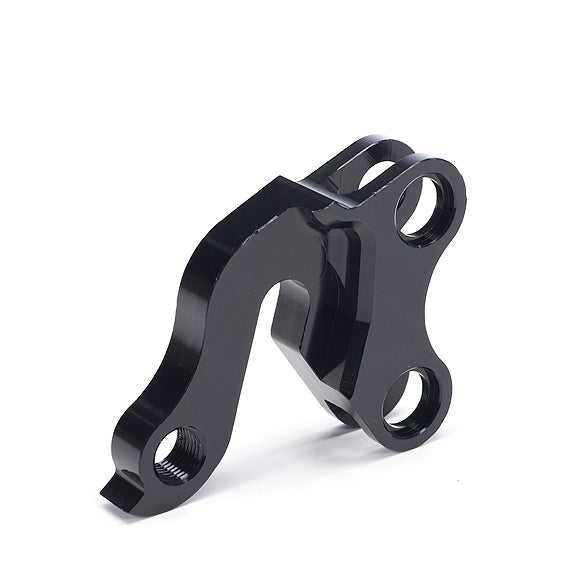 Transition derailleur hanger best sale